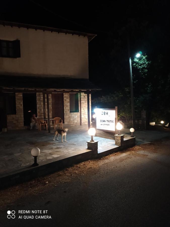 Zoe Daire Áyios Dhimítrios Dış mekan fotoğraf