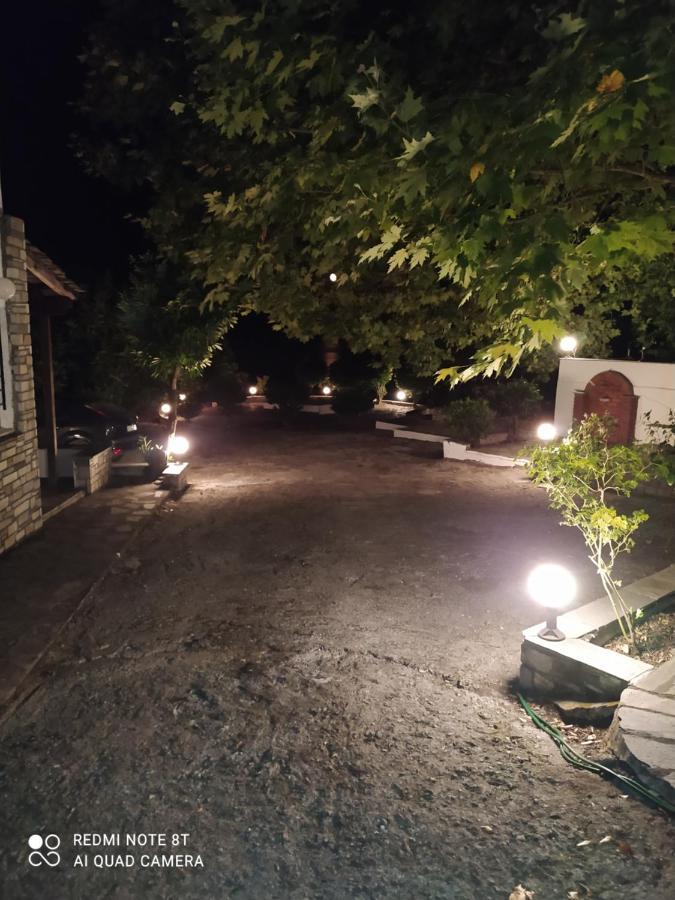 Zoe Daire Áyios Dhimítrios Dış mekan fotoğraf